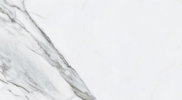 Bianco Venantino Matte 24"x48"