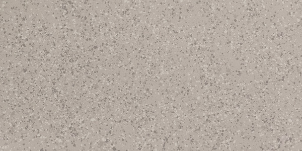 Parade Silver Terrazo Matte 24x48