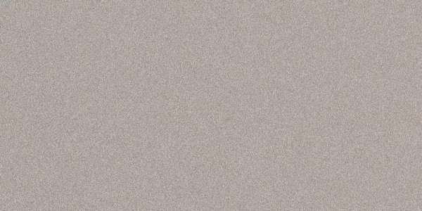 Parade Silver Polished 24x48