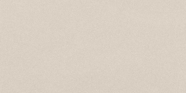 Parade White Matte 24x48