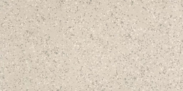 Parade White Terrazzo Matte 24x48