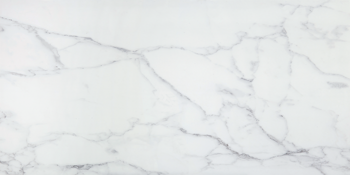 Imagine Stone Carrara Polished & Matte 24x48