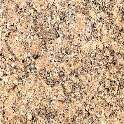 Giallo Veneziano Polished 12x12 Granite