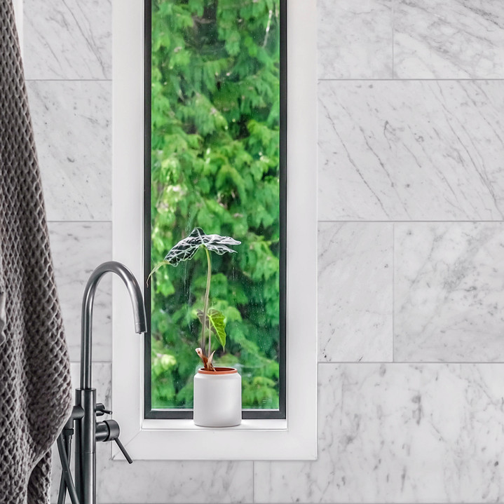 Italian Carrara White Honed 12x24