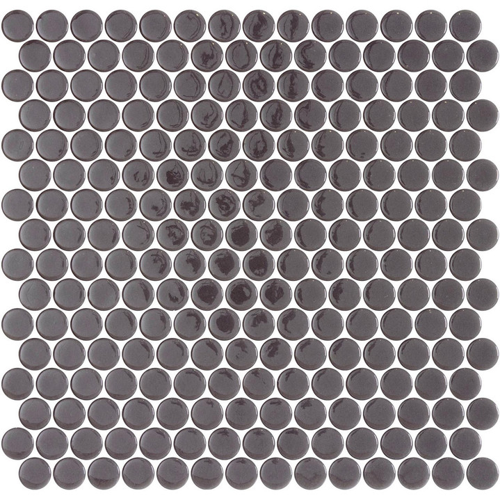 Penny Round Dark Grey Gloss 12x12 Mesh