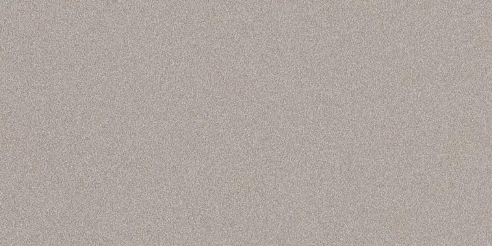 Parade Silver Polished 24x48