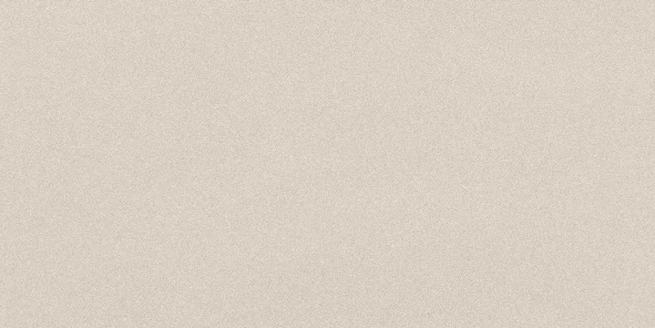 Parade White Matte 24x48