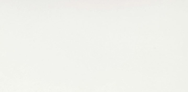 B&W White Matte 12x24