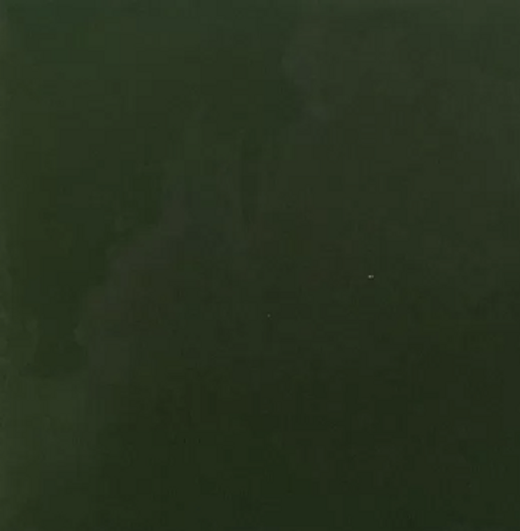 Clasico Arbol 5.25x5.25