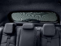 Citroen DS 3 Crossback (D34) - Sunblind - For Rear Screen Glass