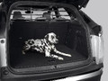 Genuine Vauxhall Frontera - Dog Guard