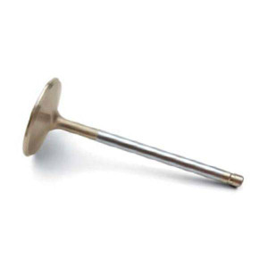 ZZ454/ ZZ427 & Anniversary Edition 427 Intake Valve
