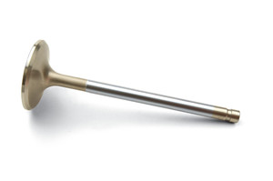 ZZ502 & ZZ572 Exhaust Valve