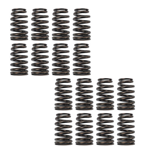 LS Valve Spring Kit