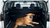 Genuine Vauxhall Zafira Tourer Dog Guard