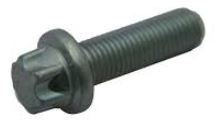 CALIPER SCREW - 9117770