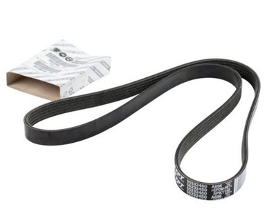 TRANS BELT - 55249822 - F0000055249822