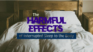 The Harmful Effects of Interrupted Sleep to the Body