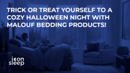 Trick or Treat Yourself to a Cozy Halloween Night with Malouf Bedding Products!