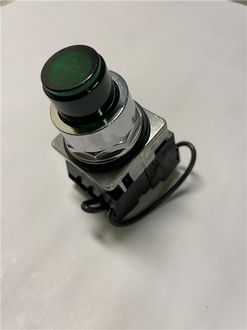 E55101- Start Button - GREEN, FV, LED, 24V, 1NO-1NC - Castle USA