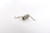 SPARE PART, BRAKE SPRING F fi-6670/A fi-6770/A