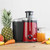 Dihl Red 600W Whole Fruit Centrifugal Juicer