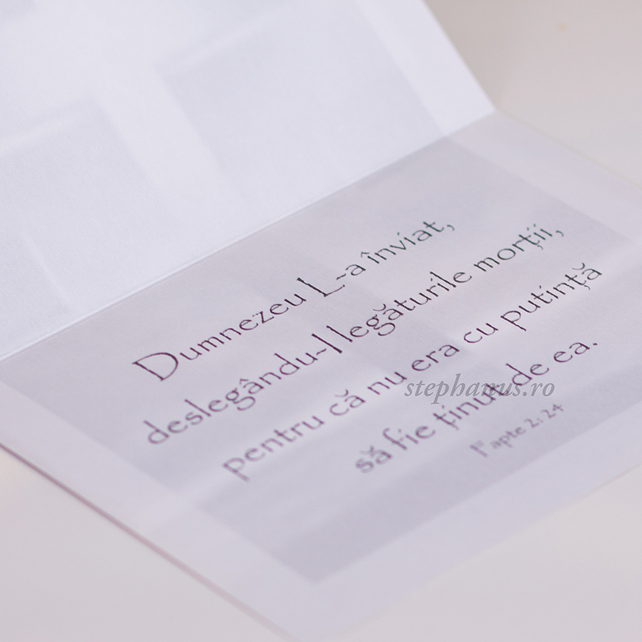 Felicitări & Vederi