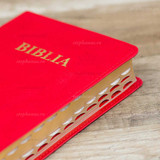 Biblia SBR medie - 057 TI PU - Rosu