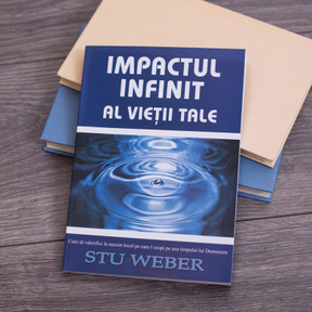 Impactul infinit al vietii tale, stu weber,