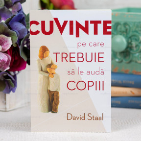 Cuvinte pe care trebuie sa le auda copiii, david, staal