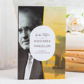 Ridicarea panzelor - stephanus.ro