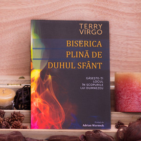 Biserica plina de Duhul Sfant, terry virgo