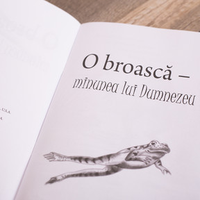 O broasca - minunea lui Dumnezeu, rebecca newswanger - 02 - stephanus.ro