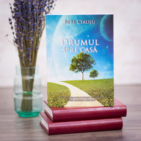 Drumul spre casa, bebe, ciausu, - stephanus.ro