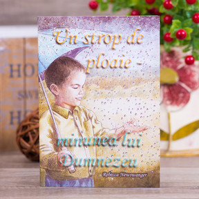 Un strop de ploaie - minunea lui Dumnezeu - Rebecca Newswanger - 01 - stephanus.ro Un strop de ploaie - minunea lui Dumnezeu - Rebecca Newswanger - 01 - stephanus.ro