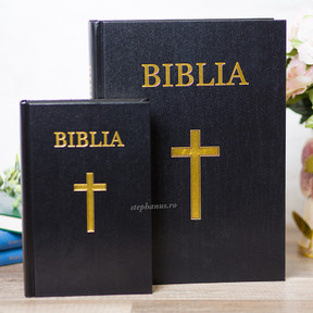 Biblia Evs Mare 093 Ct