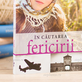 In Cautarea Fericirii - Rachel Lofgren