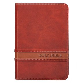 Holy Bible KJV - Format mic /  Biblia in limba engleza