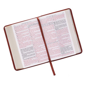 Holy Bible KJV - Format mic /  Biblia in limba engleza