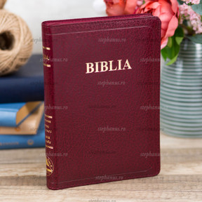 Biblia SBR Medie - 057 ZTI (Fermoar, Aurita, Index) Grena