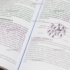 300 de jocuri - 02- stephanus.ro