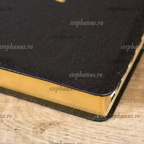 Biblia EVS Medie 063 TI cu cruce Neagra