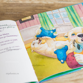 Crăciunul este darul lui Dumnezeu - 03 - stephanus.ro