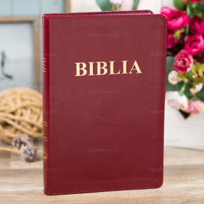 Biblia SBR 073 CM - Visiniu