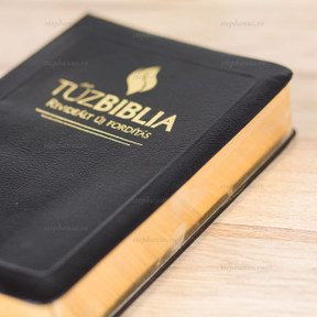 Biblia de studiu Lb. Maghiara - Tuzbiblia