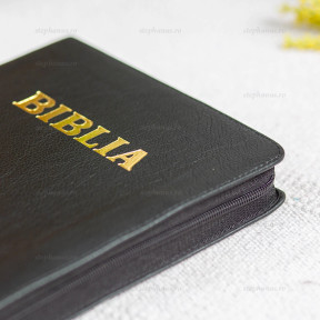 Biblia SBR CO 083 PF (Aurie, Fara Index, cu Concordanta) Biblia SBR CO 083 PF (Aurie, Fara Index, cu Concordanta)