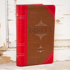 Biblia NTR - Vintage (Maro/Rosu)