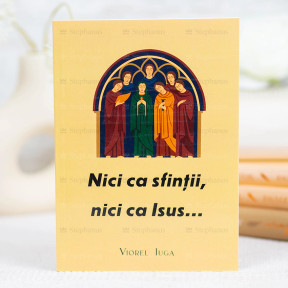 Nici ca sfinții, nici ca Isus - Viorel Iuga - 01 - stephanus.ro