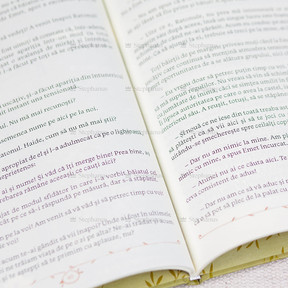 Povestea Fiului De Imparat - Cristina Croitoru - 02 stephanus.ro