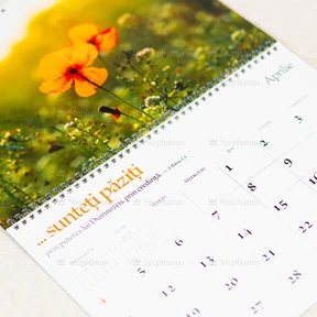Calendar 2027 - Cand Privesc...